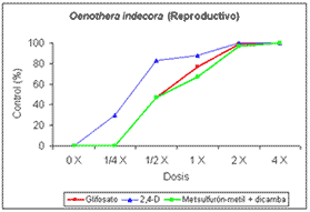 Control de Oenothera indecora y Oenothera affinis con distintas dosis de herbicidas postemergentes. - Image 5