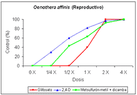 Control de Oenothera indecora y Oenothera affinis con distintas dosis de herbicidas postemergentes. - Image 7