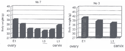 Influencia del rendimiento maternal antes y después del parto sobre el desarrollo de conejos de engorde - Image 1