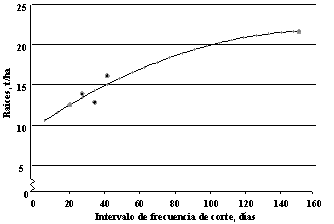 La batata forrajera de doble propósito en República Dominicana; consideraciones y resultados sobre su utilización y manejo del cultivo - Image 2