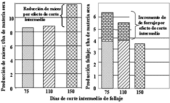 La batata forrajera de doble propósito en República Dominicana; consideraciones y resultados sobre su utilización y manejo del cultivo - Image 3