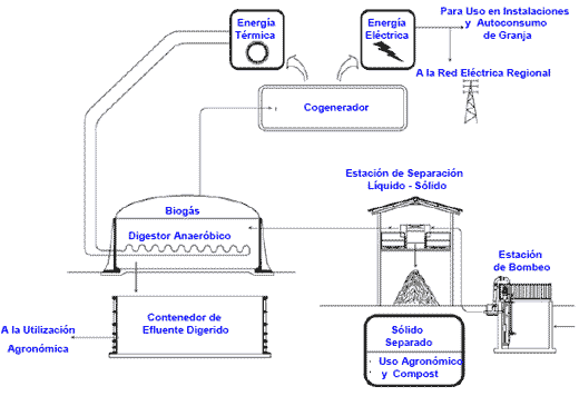 Producción de Biogás en granjas porcinas en confinamiento - Image 2