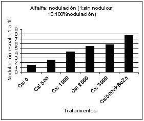Alfalfa: Limitantes productivas en la Región Pampeana - Image 2