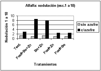 Alfalfa: Limitantes productivas en la Región Pampeana - Image 3
