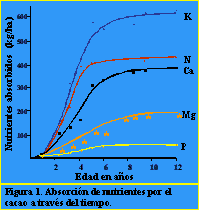 Deficiencias nutricionales y fertilización del cacao - Image 1