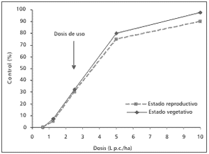 Portulaca gilliesii (Hook) y Gomphrena perennis (L): Especies con tolerancia al herbicida glifosato - Image 5
