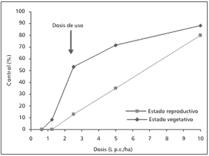 Portulaca gilliesii (Hook) y Gomphrena perennis (L): Especies con tolerancia al herbicida glifosato - Image 6