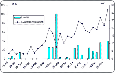 Efecto de la fertilización con nitrógeno, azufre y boro sobre la producción de materia seca y el rendimiento de grano en raigrás anual (Lolium multiflorum Lam.) - Image 3