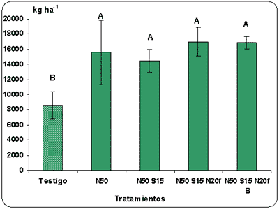 Efecto de la fertilización con nitrógeno, azufre y boro sobre la producción de materia seca y el rendimiento de grano en raigrás anual (Lolium multiflorum Lam.) - Image 5