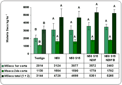 Efecto de la fertilización con nitrógeno, azufre y boro sobre la producción de materia seca y el rendimiento de grano en raigrás anual (Lolium multiflorum Lam.) - Image 7