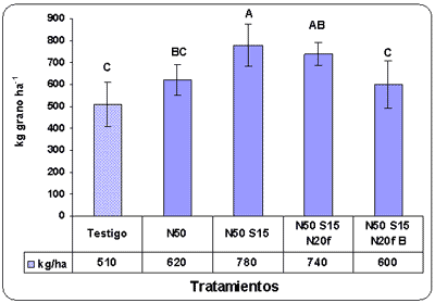 Efecto de la fertilización con nitrógeno, azufre y boro sobre la producción de materia seca y el rendimiento de grano en raigrás anual (Lolium multiflorum Lam.) - Image 8