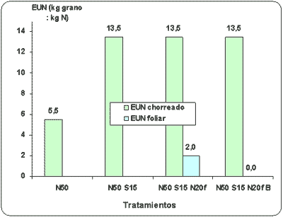Efecto de la fertilización con nitrógeno, azufre y boro sobre la producción de materia seca y el rendimiento de grano en raigrás anual (Lolium multiflorum Lam.) - Image 10