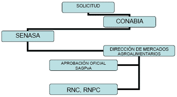 El Contexto del Proceso de Adopción de Cultivares Transgénicos en Argentina - Image 8