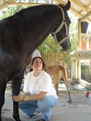 Masajes para caballos: Una necesidad equina - Image 25