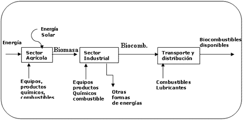 Potencialidad del cultivo de caña de azúcar en Argentina como fuente de bioetanol - Image 1