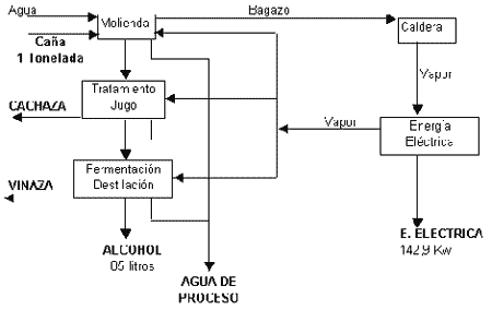 Potencialidad del cultivo de caña de azúcar en Argentina como fuente de bioetanol - Image 2