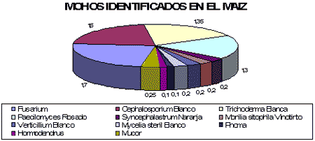 Efecto de las propiedades inhibitorias de mohos a escala de laboratorio de tres productos comerciales compuestos por sales derivados del acido propionico sobre los mohos presentes en el maíz (Zea mays) - Image 3