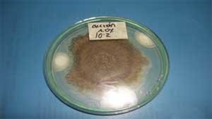 Efecto de las propiedades inhibitorias de mohos a escala de laboratorio de tres productos comerciales compuestos por sales derivados del acido propionico sobre los mohos presentes en el maíz (Zea mays) - Image 5