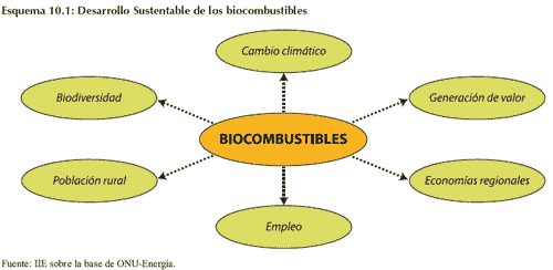 Biocombustibles, una oportunidad - Image 5
