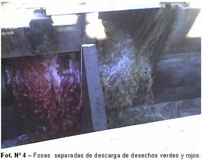 Planta modelo de biogás y compost en frigorifico bovino de 1600 animales - Image 3