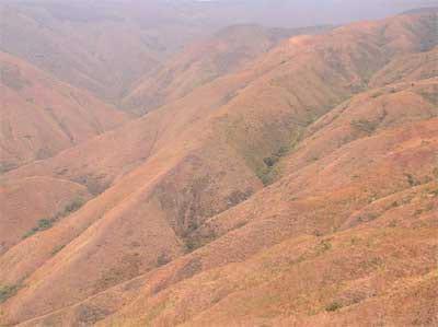 Sistemas de producción agroforestal de ultisoles del pie de monte de Cali. Aplicable a la zona andina - Image 8
