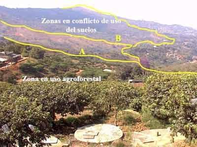 Sistemas de producción agroforestal de ultisoles del pie de monte de Cali. Aplicable a la zona andina - Image 18