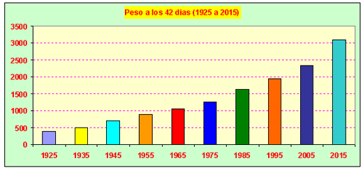Los Factores de éxito para una Producción Avícola de Alta Calidad - Image 1