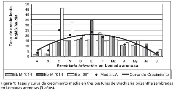 Crecimiento de gramíneas subtropicales en el noreste correntino - Image 4