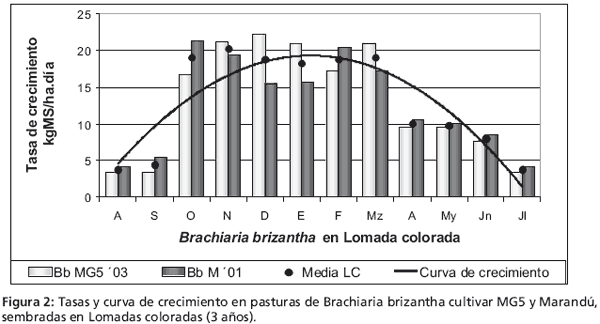 Crecimiento de gramíneas subtropicales en el noreste correntino - Image 5