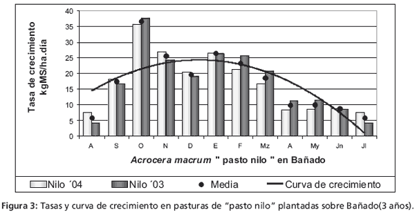 Crecimiento de gramíneas subtropicales en el noreste correntino - Image 6