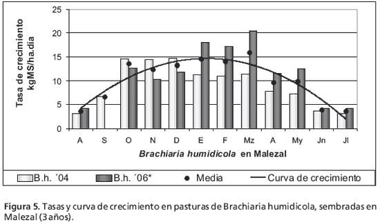 Crecimiento de gramíneas subtropicales en el noreste correntino - Image 8