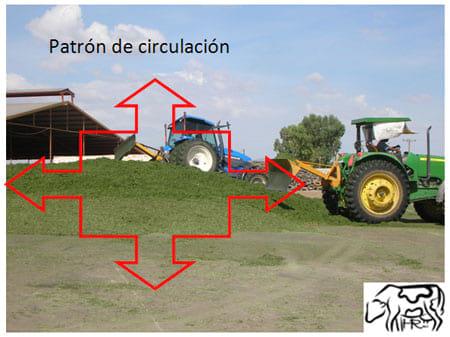 Ensilado de maíz para ganado lechero, Consejos prácticos ilustrados para mejorar la calidad del ensilado (Segunda Parte) - Image 5