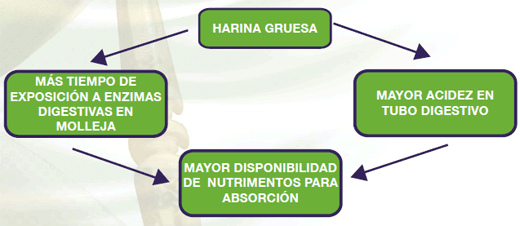 Reinventando la alimentación avícola en México - Image 1