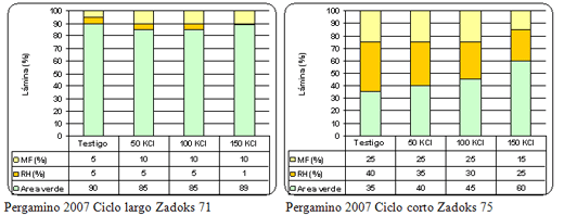 Respuesta al agregado de cloruro de potasio en trigo en suelos argiudoles. Resultados de cuatro años de experiencias. - Image 3