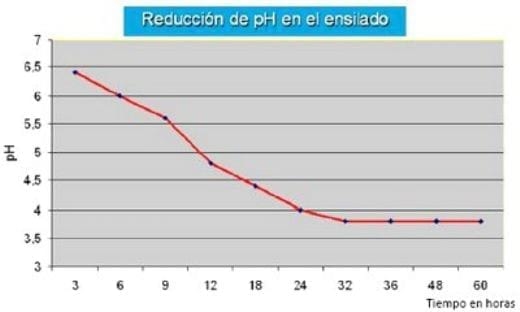 Uso de Inoculantes en silajes de Primavera - Image 2