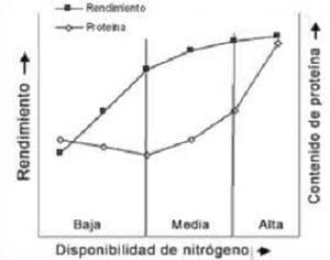 Diferentes estrategias de fertilización nitrogenada y su interacción con la aplicación de un fungicida sobre el rendimiento y el porcentaje de proteína en grano en el cultivo de trigo - Image 59
