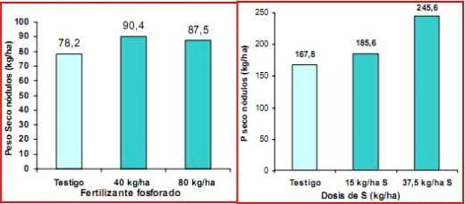 Inoculación de soja en el norte, centro y oeste de Buenos Aires. Resultados de experiencias y prácticas de manejo para mejorar su eficiencia. - Image 15