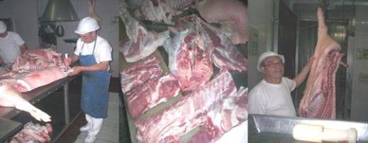 Producción porcina en Argentina, El Mercado nos llama - Image 1