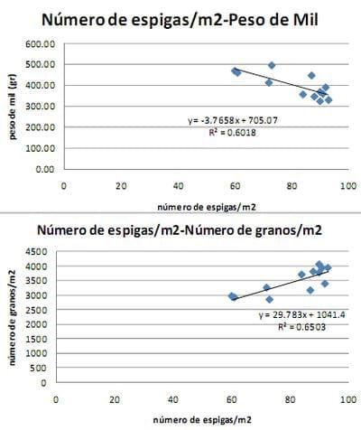 Ensayo de interacción entre densidad de siembra, Híbridos y fertilización nitrogenada en Maíz - Image 11