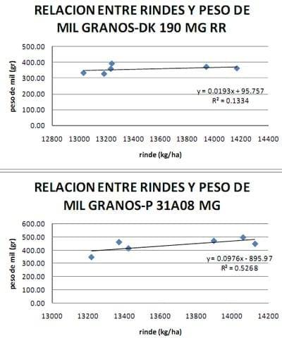 Ensayo de interacción entre densidad de siembra, Híbridos y fertilización nitrogenada en Maíz - Image 12
