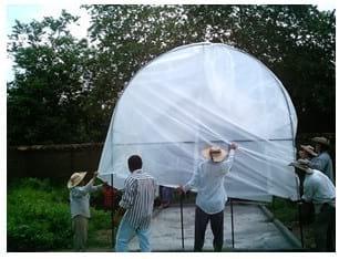 Túnel para la producción de forraje de maíz, con recirculación de agua - Image 3