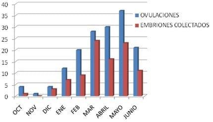 Tasas de ovulación y de recuperación embrionaria en yeguas de pura raza española durante las temporadas 2007-2008 y 2008-2009 - Image 1