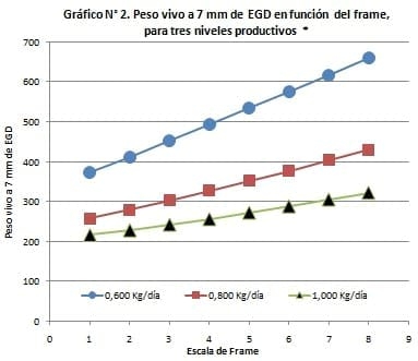 Peso de faena y engrasamiento en engordes de terneras y vaquillonas - Image 2