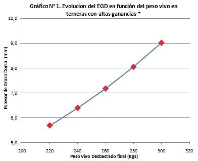 Peso de faena y engrasamiento en engordes de terneras y vaquillonas - Image 1