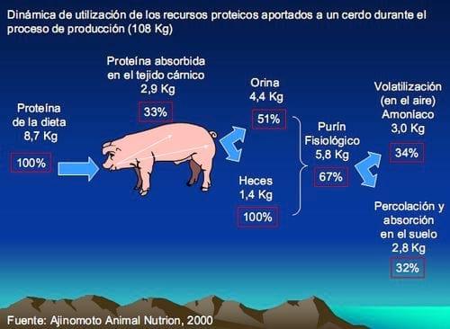 Recomendaciones prácticas para reducir el impacto ambiental en granjas porcinas - Image 1