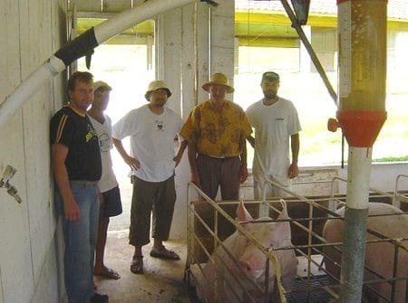 Recomendaciones prácticas para reducir el Impacto Ambiental en granjas porcinas. La Gestión de los Gases - Image 2
