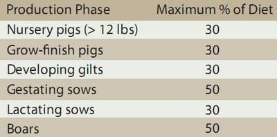 Lo que sabemos del uso de DDGS en cerdos - Image 1