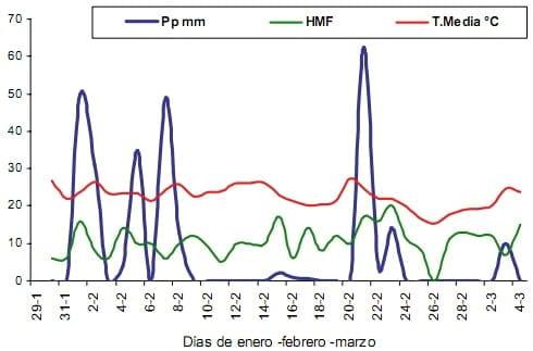 Ensayo comparativo de variedades de soja en la localidad de Pergamino, Campaña 2009-2010 - Image 3
