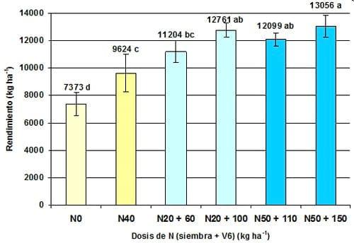 Predicción de la respuesta a nitrógeno en maíz utilizando el medidor de clorofila n-tester - Image 1