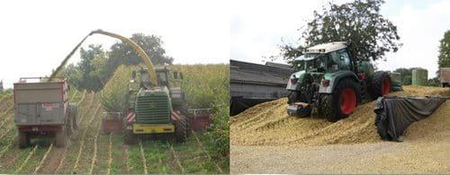 Asonormando: Francia, una experiencia para el mejoramiento e innovación en el manejo agropecuario - Image 6